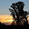 Atardecer