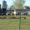 Granja