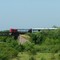Tren local de Villaguay