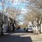 Calle Colón