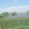 Lagunita por Palavecino.