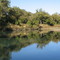 Guadalupe River
