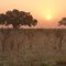 Texas Sunrise