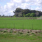 Campos de los Buenos Aires