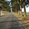 Paseo