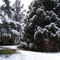 Nieve en Areco