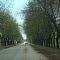 Entrada a San Antonio de Areco  llegando de Vagues - ecm