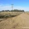 San Antonio de Areco - Camino al Balneario ( www.alepolvorines.com.ar )