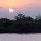 ATARDECER EN EL IVY MARAY