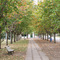 Plaza de JNF