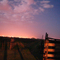 Pehuajó desde el campo