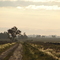 zona rural de Montes de Oca, Santa fe, Argentina.