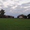 Sembrado de trigo en Montes de Oca