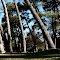 Parque Cabañas - Tres Arroyos
