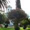 Plaza de San Antonio - Jujuy