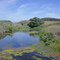 Agua Campo y Cielo