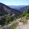 Near Warm Lake Summit