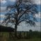 BESEECHING TO THE SKY - IMPLORANDO AL CIELO