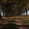  ACCESS TO THE RANCH IN AUTUMN - EL ACCESO AL CAMPO EN OTOÑO