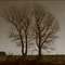 TWINS IN THE WILDERNESS - MELLIZOS EN LA SOLEDAD (2)