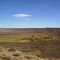 Alamos neuquinos