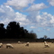 Venado Tuerto, provincia de Santa Fe, Argentina