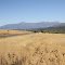 Valle de Trevelin