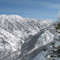 View from top of one of the avalanche chutes in Canyon Creek Avalanche Area