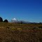 Lanin desde Ruta 61