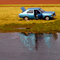 SOLAMENTE  UN  AUTITO  AZUL  (just a small blue car)
