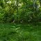 Verdes pastizales en la Reserva Los Robles (jfe)