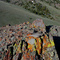 Lichens near Antelope Pass. Pioneer Mountains