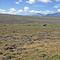 Copper  Basin. Overgrazed mountain valley
