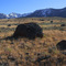 Glacial erratics a miles or so north of Antelope Pass