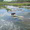 Enzo en Arroyo Ramallo