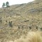 Entrenamiento militar / Lautaro