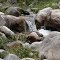 El paisaje que vivi - El recuerdo que da lo inolvidable ¿ Será el Rio Redondo?