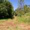 zona de campo
