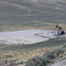 CA 202