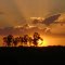 Ocaso