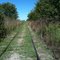 Salida En Bicicleta Por Las Vias Del Ex Ferrocarril Del Sud