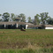 antiguo haras