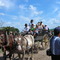 Paseo por los campos de La pampa.  http://mundoporlibre.com