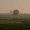 Niebla en la ruta 6