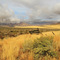 Ranch Fence ...10.04.08*