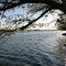 Arkansas River, Clarksville, Arkansas -- 9 April 2006