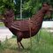 Did You Guys See the Size of that Chicken?
