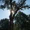 Clarksville Sun