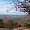 Mt. Nebo vista