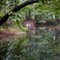 Across the pond.  Taken by Ralph Miles